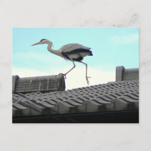 Postal Caminador de techo