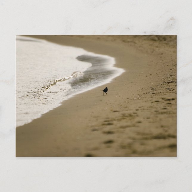 Postal Caminando (Anverso)