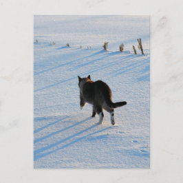 Postal Caminando Por El Campo