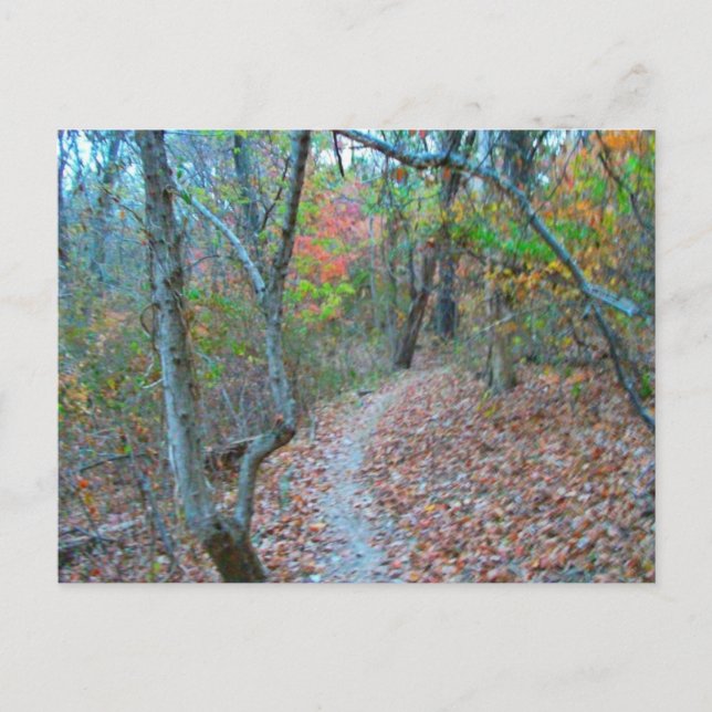 Postal Caminar Justo Arriba De La Colina (Anverso)