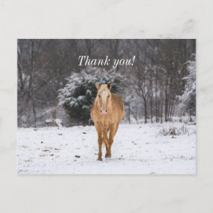 Postal Caminata De Caballos Rubios En La Nieve Gracias Po