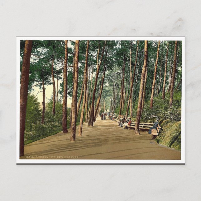 Postal Caminata de los inválidos, Bournemouth, Inglaterra (Anverso)