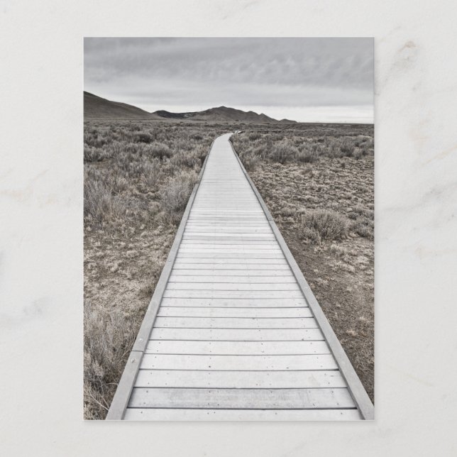 Postal Caminata en el desierto (Anverso)