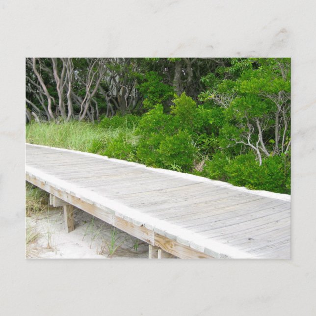 Postal Caminata en el parque Davis (Anverso)