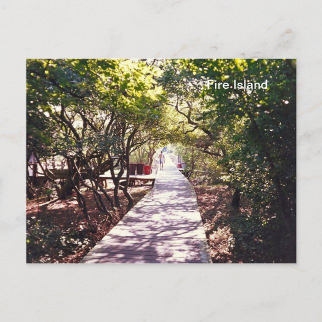 Postal Caminata en el Parque Davis en Fire está. (Anverso)