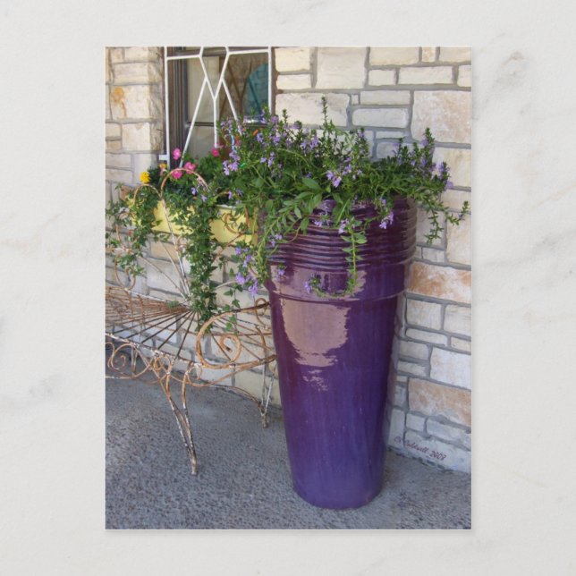 Postal Caminata por la región de Hill (Anverso)