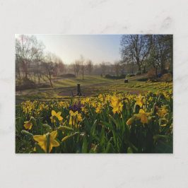 Postal Caminé sola como una nube de William Wordsworth