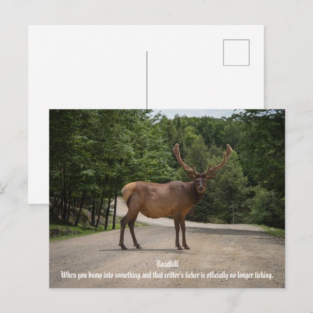 Postal Camino (Anverso / Reverso)