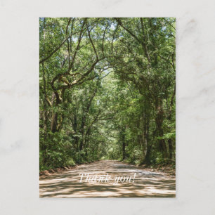Postal Camino a Angel Oak Gracias