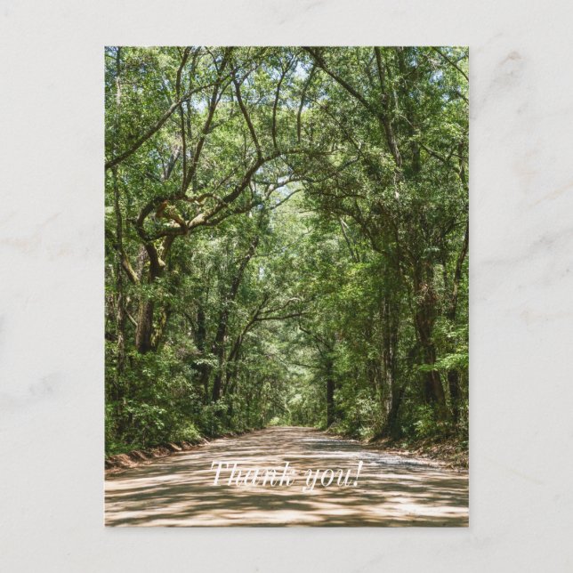 Postal Camino a Angel Oak Gracias (Anverso)
