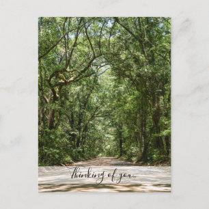 Postal Camino A Angel Oak Pensando En Usted Postcard