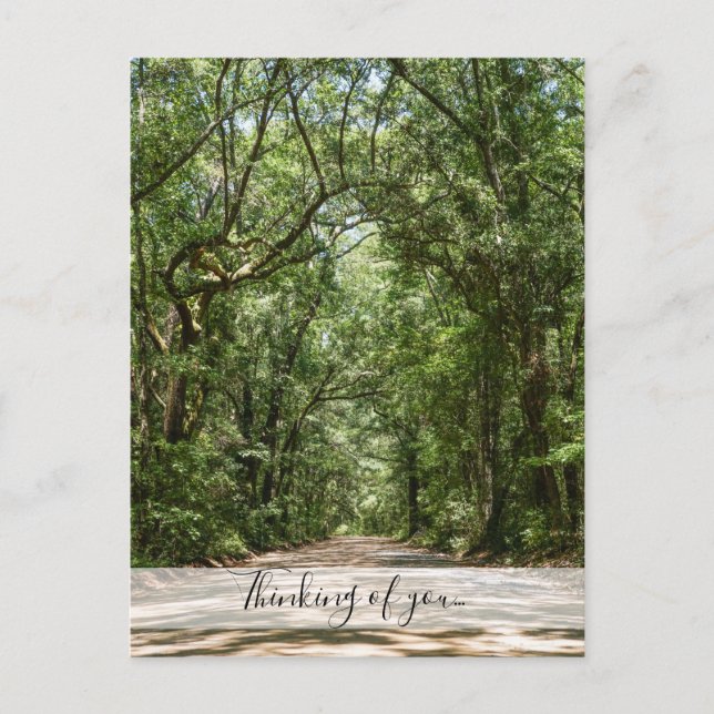 Postal Camino A Angel Oak Pensando En Usted Postcard (Anverso)