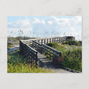 Postal camino a la playa del océano