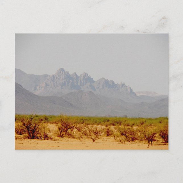 Postal camino a Lordsburg, NM (Anverso)