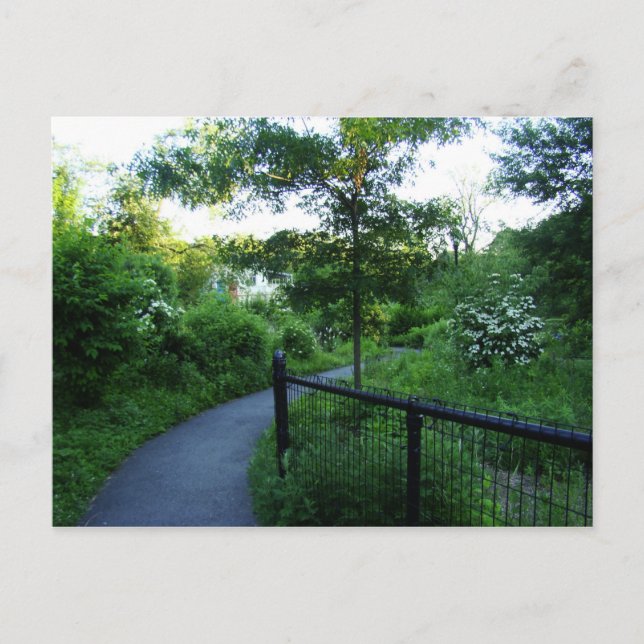 Postal Camino a pie hacia el barco (Anverso)