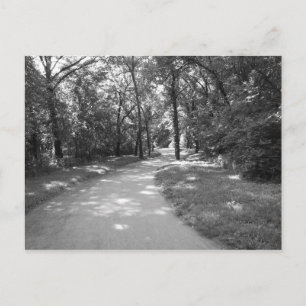 Postal Camino a través de los bosques
