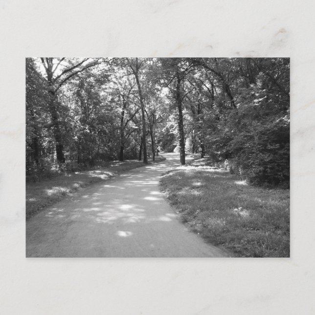 Postal Camino a través de los bosques (Anverso)