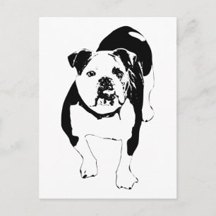 Postal Camino Abierto, Hola Bulldog