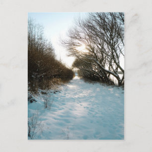 Postal Camino campestre inglés cubierto de nieve en invie