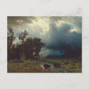 Postal Camino de búfalos: la tormenta inminente