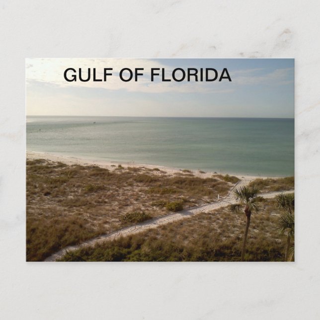 Postal Camino de Florida que conduce a la orilla (Anverso)