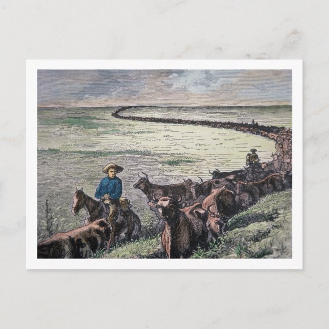 Postal Camino de ganado longhorn de Texas a Abilene, Kans (Anverso)