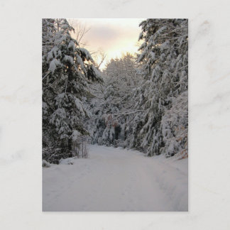 Postal Camino de invierno