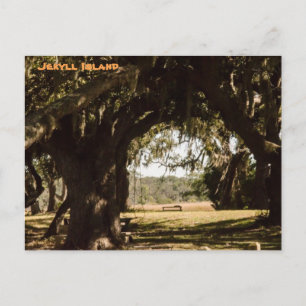 Postal Camino de la isla Jekyll al pantano