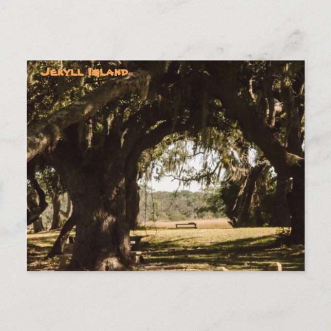 Postal Camino de la isla Jekyll al pantano (Anverso)