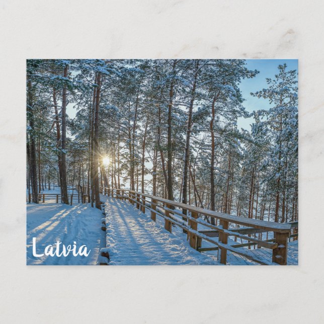 Postal Camino de madera a través de un bosque de invierno (Anverso)