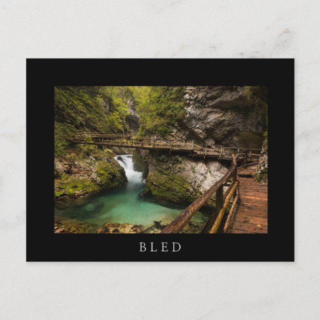 Postal Camino de madera a través del cañón de la garganta (Anverso)