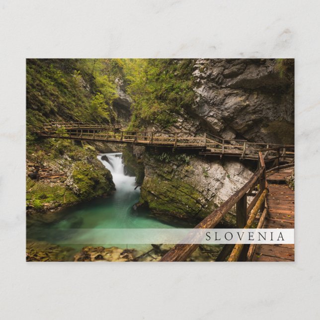 Postal Camino de madera a través del cañón de la garganta (Anverso)