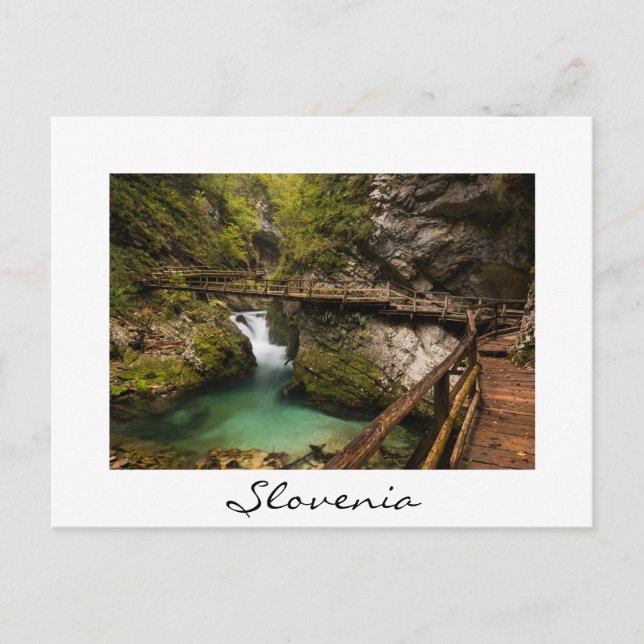 Postal Camino de madera a través del cañón de la garganta (Anverso)