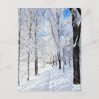 Postal Camino de nieve