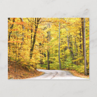 Postal Camino de otoño