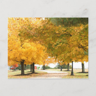 Postal Camino de otoño