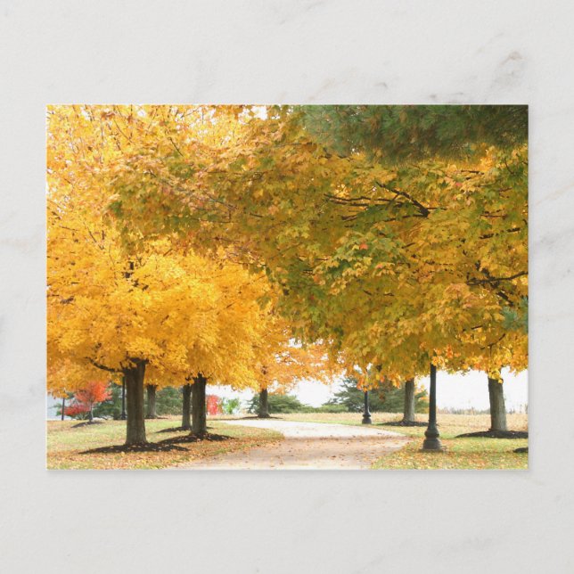 Postal Camino de otoño (Anverso)