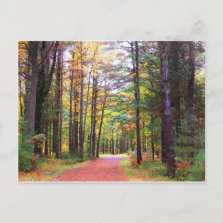 Postal camino de otoño.jpg