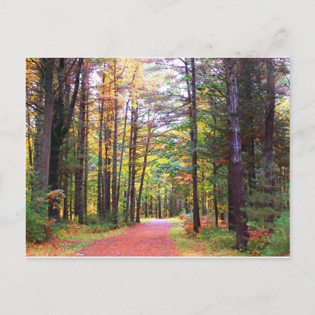 Postal camino de otoño.jpg (Anverso)
