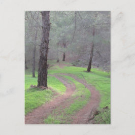 Postal Camino de Pine Forest
