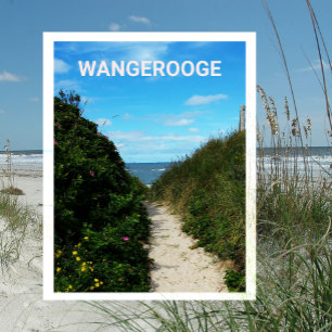 Postal Camino de playa, dunas de arena, Wangerooge, Frisi
