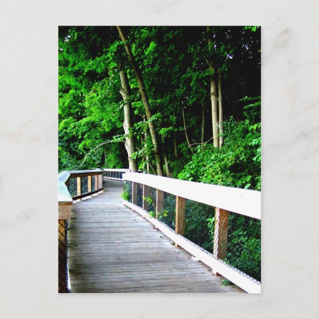 Postal Camino de Rockford Michigan (Anverso)