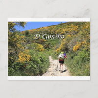 Camino de Santiago de Compostela, España