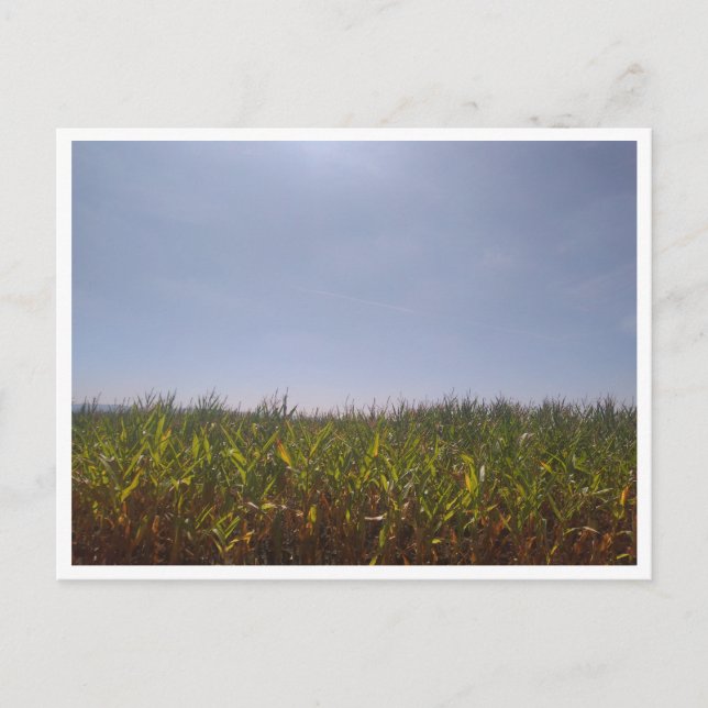 Postal Camino de Santiago del Norte (España) (Anverso)