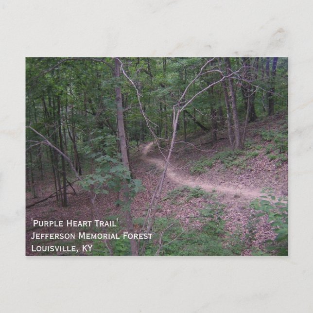 Postal 'Camino del Corazón Púrpura' (Anverso)