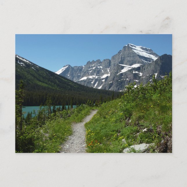 Postal Camino del lago Josephine con culto al glaciar (Anverso)