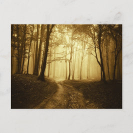 Postal Camino en un bosque oscuro con niebla