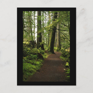 Postal Camino Entre Gigantes