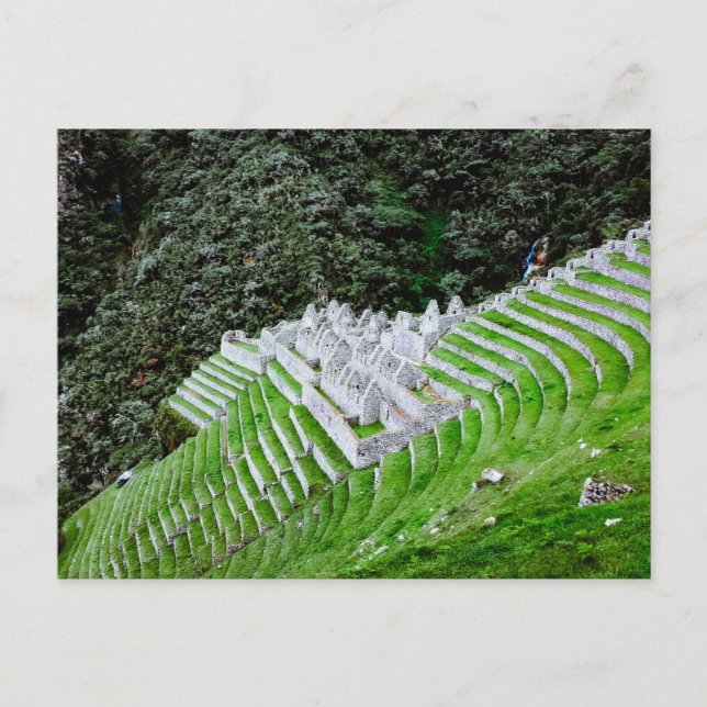 Postal Camino Inca Machu Picchu Perú - Fotografía de viaj (Anverso)