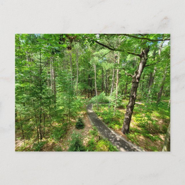 Postal Camino natural de Midland Michigan (Anverso)